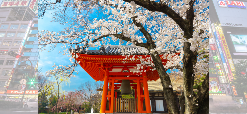 Dokumen yang diperlukan untuk visa jepang